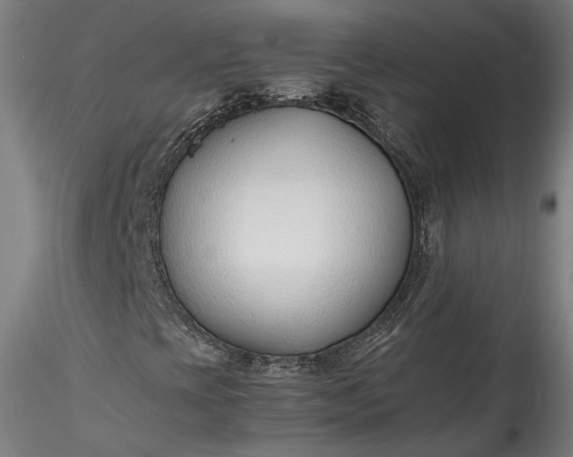 X0000115761393200911271105
