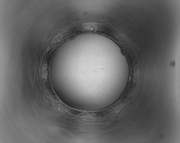 X0000115761394200911271105