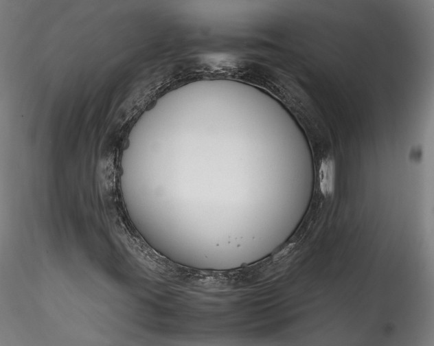 X0000115761395200911271105
