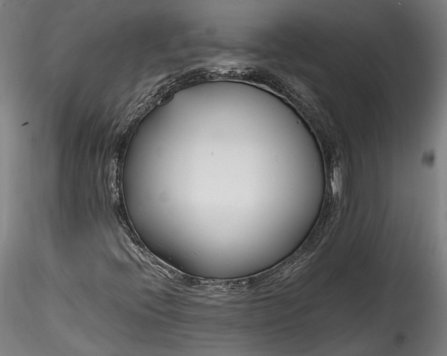 X0000115761396200911271105