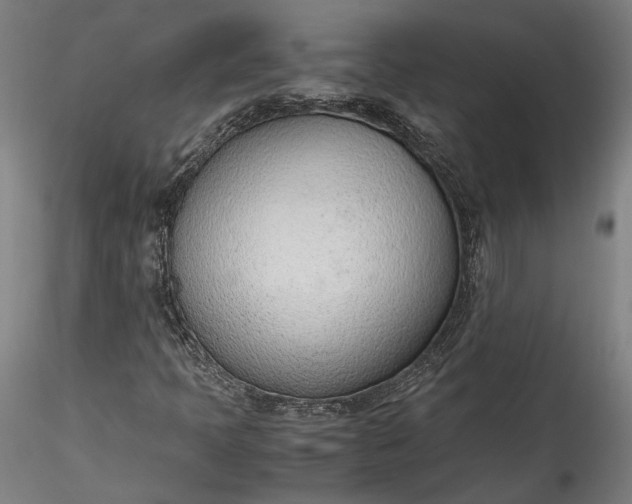 X0000115761397200911271105