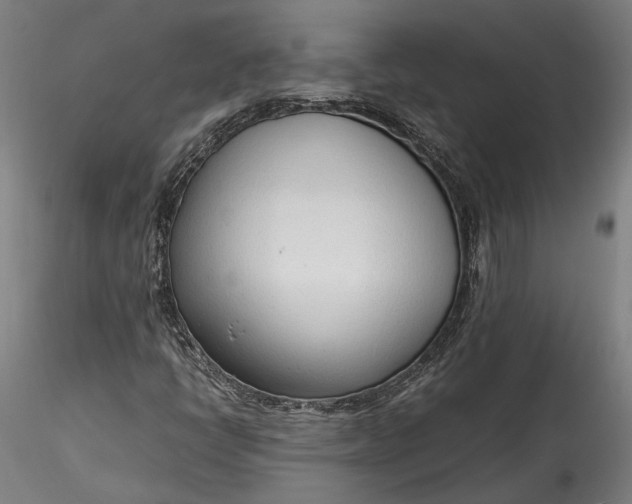 X0000115761398200911271105