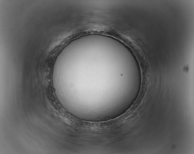 X0000115761399200911271105