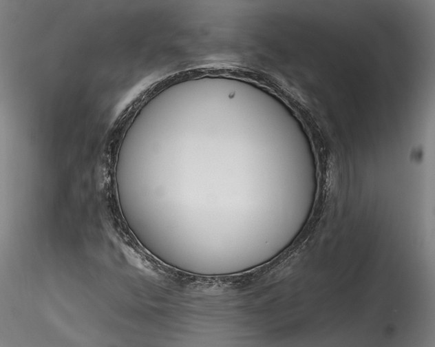X0000115761400200911271105