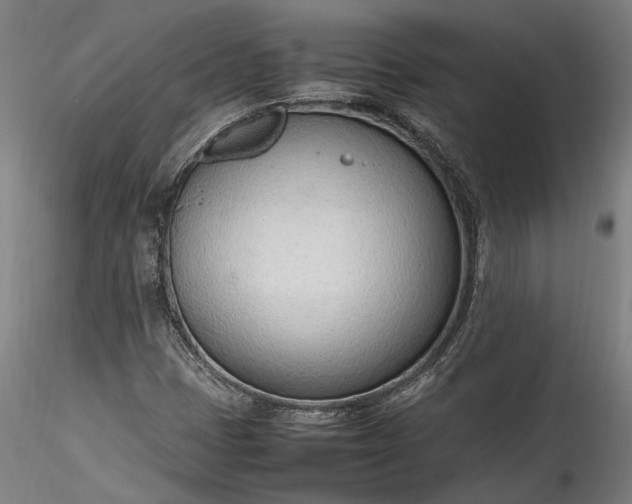 X0000115761401200911271106