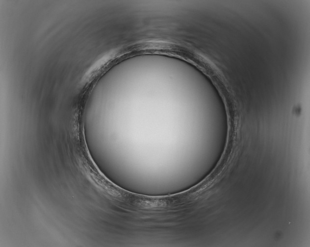 X0000115761403200911271106