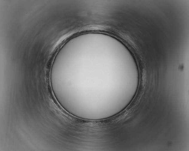 X0000115761404200911271106