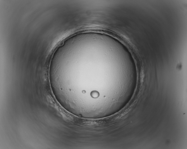 X0000115761405200911271106