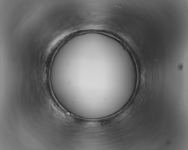 X0000115761406200911271106