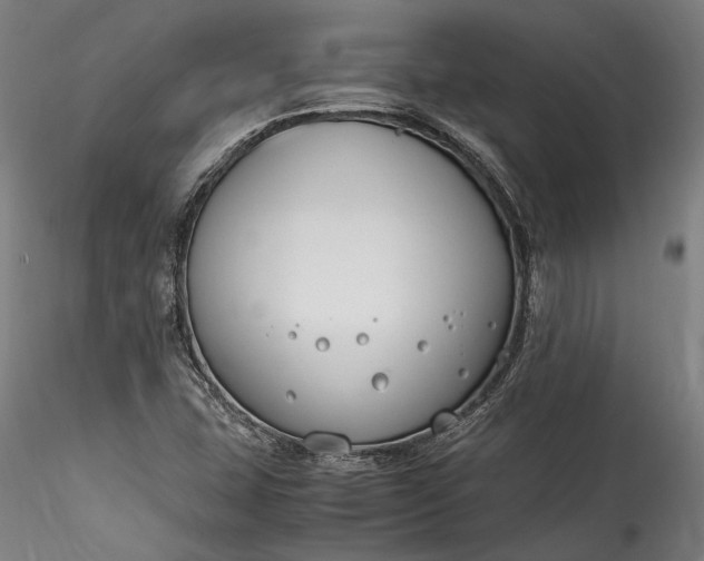 X0000115761407200911271106