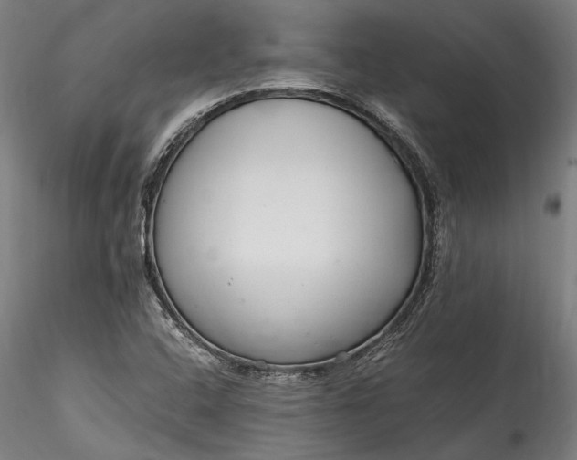 X0000115761408200911271106