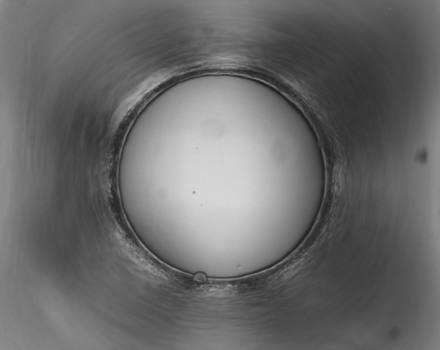 X0000115761410200911271106