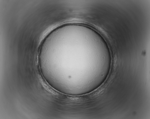 X0000115761413200911271106