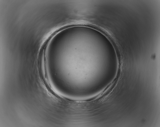 X0000115761414200911271106