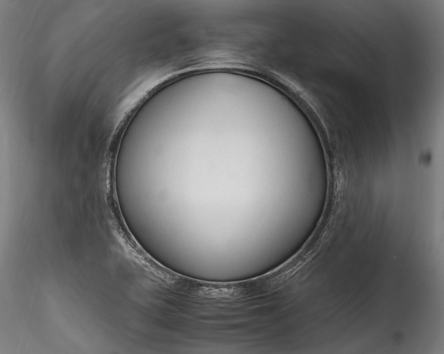 X0000115761415200911271106