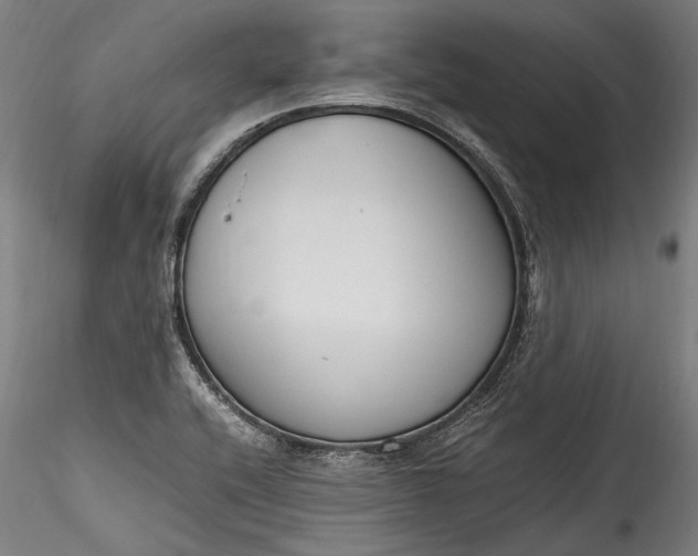 X0000115761416200911271106