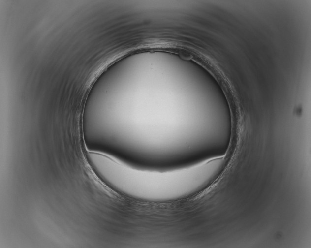 X0000115761417200911271106