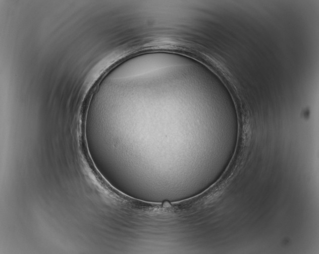 X0000115761418200911271106