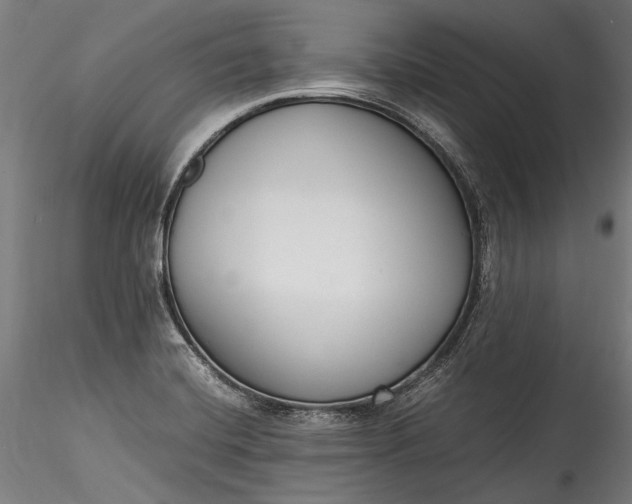 X0000115761420200911271106