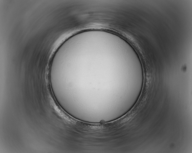 X0000115761421200911271106