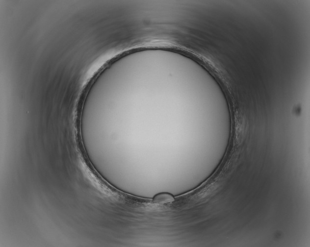 X0000115761422200911271106