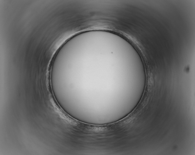 X0000115761423200911271106