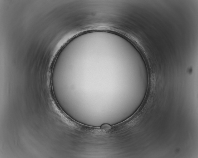 X0000115761424200911271106