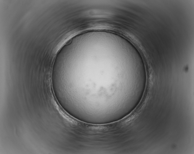 X0000115761425200911271106