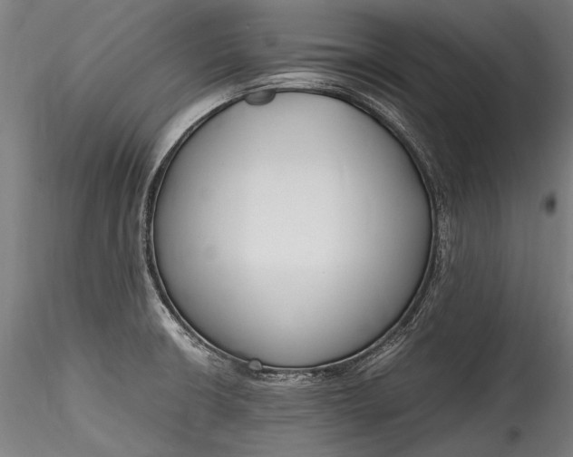 X0000115761426200911271106