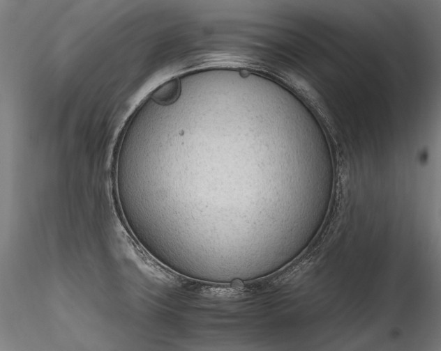 X0000115761427200911271106