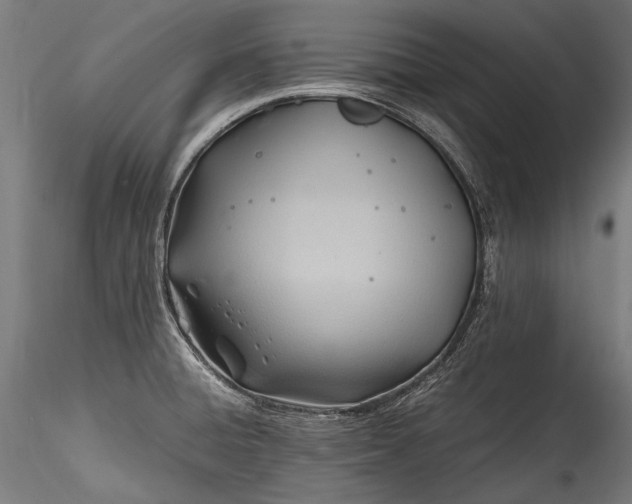 X0000115761428200911271106