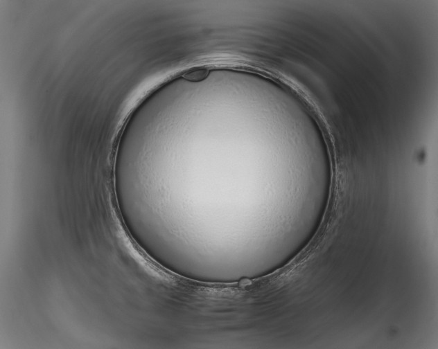 X0000115761429200911271106