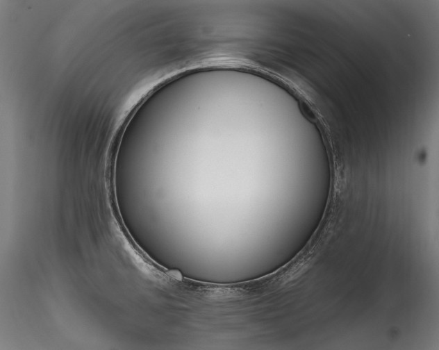 X0000115761430200911271106