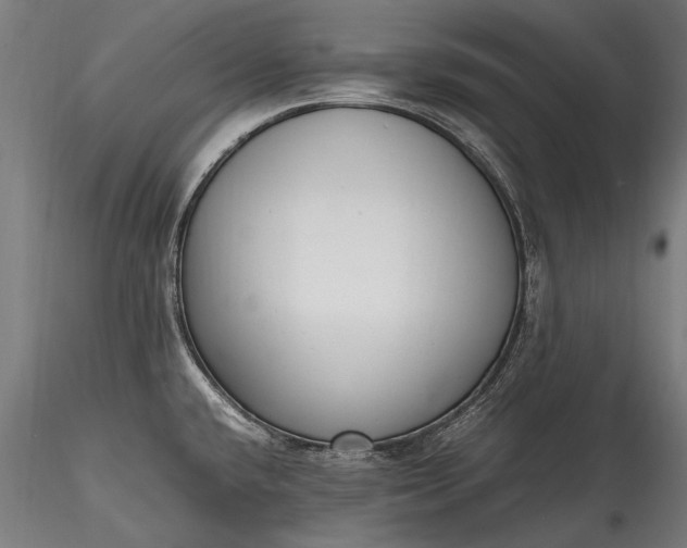 X0000115761432200911271106