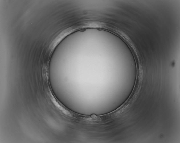 X0000115761433200911271106