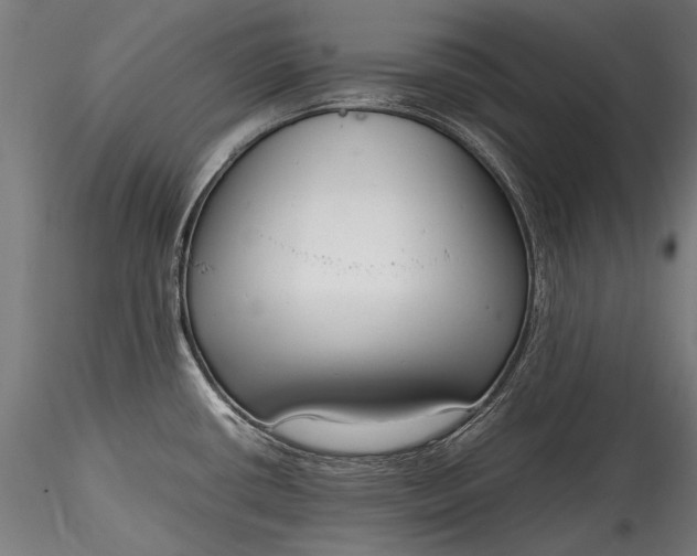 X0000115761434200911271106