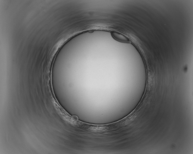 X0000115761435200911271106