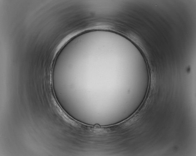 X0000115761436200911271106