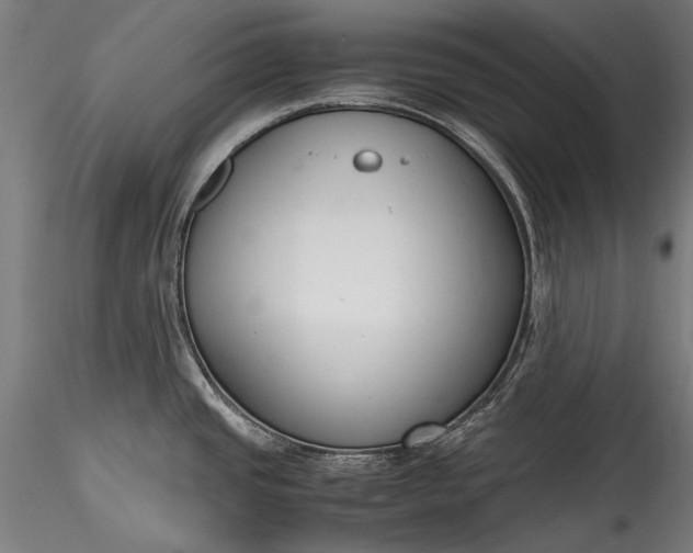 X0000115761437200911271106