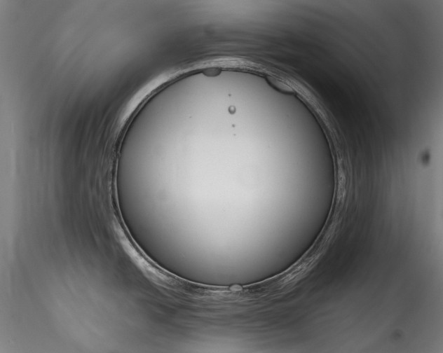 X0000115761438200911271106