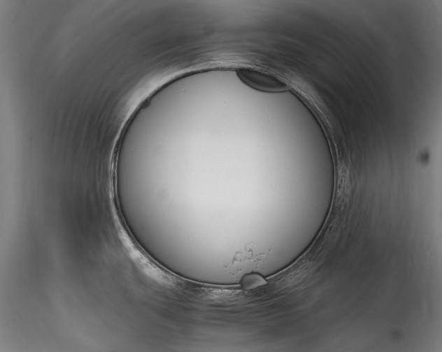 X0000115761439200911271106