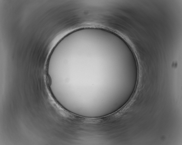 X0000115761440200911271106