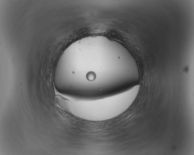 X0000115761441200911271105