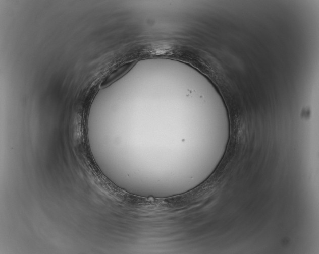 X0000115761442200911271105