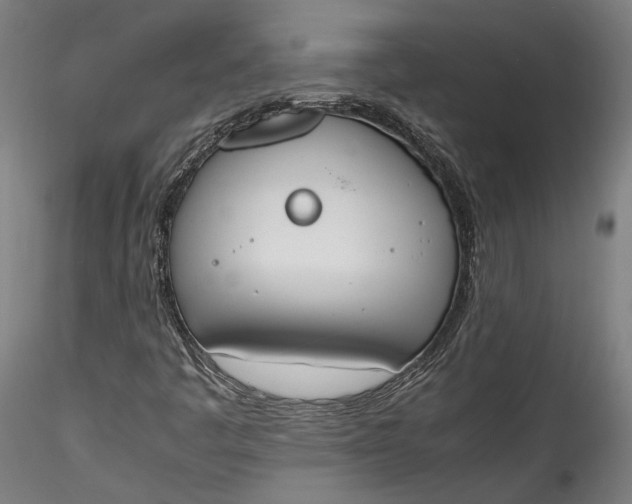 X0000115761445200911271105
