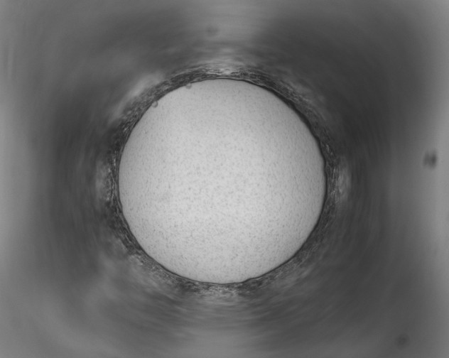 X0000115761446200911271105