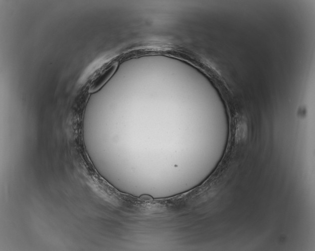 X0000115761448200911271105