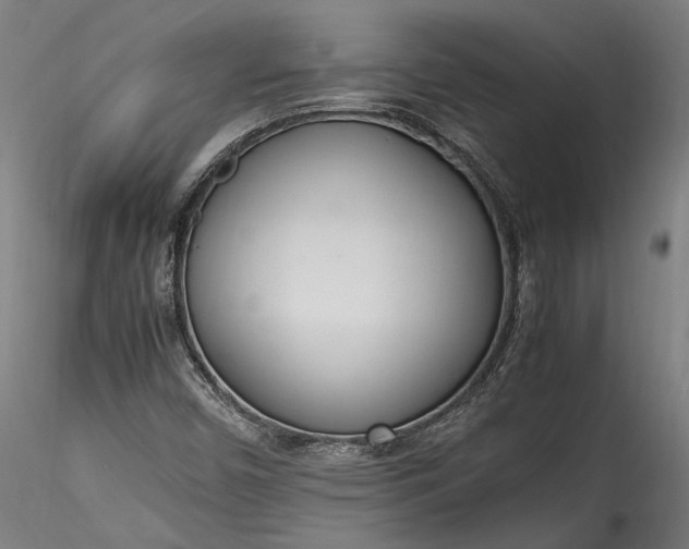 X0000115761450200911271105