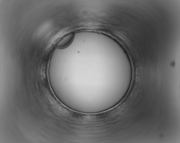 X0000115761451200911271105