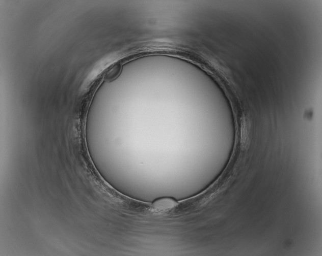 X0000115761453200911271105